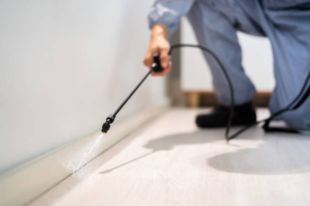 Licensed Pest Control service in Chevy Chase Village, MD - Nex Pest Control