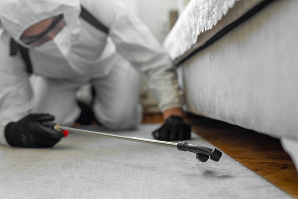 Professional Pest Control technician working in Chevy Chase Village, MD