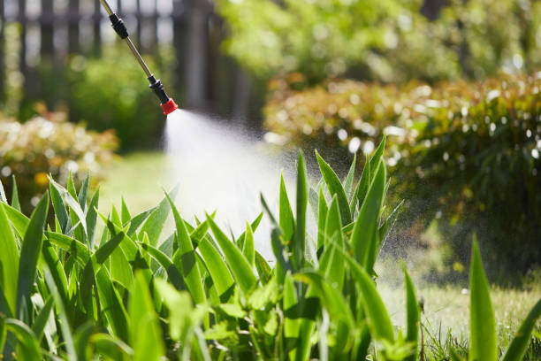 24/7 Emergency Bed Bug Control experts in Chevy Chase Village, MD