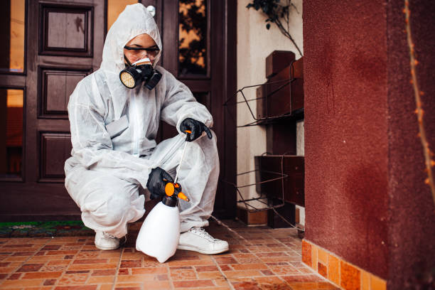 Reliable Bed Bug Control contractor in Chevy Chase Village, MD by Nex Pest Control