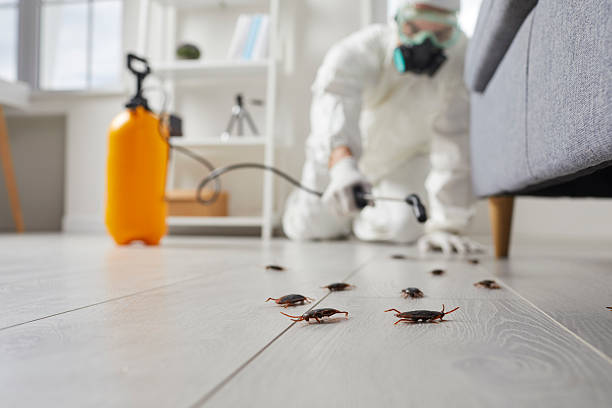 Trusted Emergency Pest Control service in Chevy Chase Village, MD - Nex Pest Control